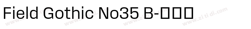 Field Gothic No35 B字体转换